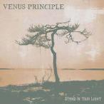 Venus Principle Stand In Your Light＜Clear Vinyl＞ LP