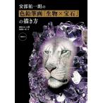 安部祐一朗 安部祐一朗の色鉛筆画「生物×宝石」の描き方 Book