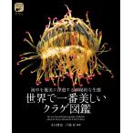 水口博也 世界で一番美しいクラゲ図鑑 海中を優美に浮遊する神秘的な生態 Book