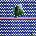 Ann Burton Sam *a The -* springs CD