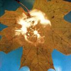 Soyuz Force of the Wind CD