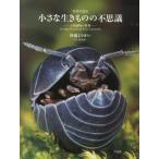皆越ようせい 写真で見る小さな生きものの不思議 土壌動物の世界 Book