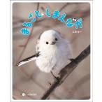 山本光一 まるごとしまえなが Book
