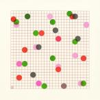 Akusmi Fleeting Future CD