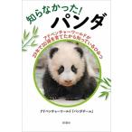 アドベンチャーワールド「パンダチーム」 