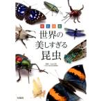 丸山宗利 原色図鑑 世界の美しすぎる昆虫 Book