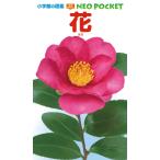 大作晃一 花 Book