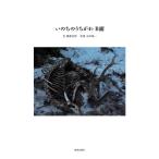  Hattori документ ... . внутри ..B поверхность Book