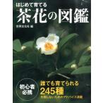 世界文化社 はじめて育てる茶花の図鑑 誰でも育てられる245種 Book