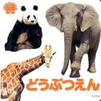 内山晟 どうぶつえん てのひらしゃしんえほん 5 Book