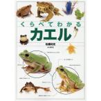 松橋利光 くらべてわかるカエル 識別ポイントで見分ける Book
