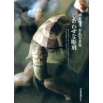 大森暁生 しあわせな彫刻 大森暁生作品写真集 Book