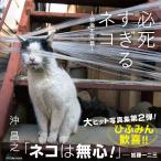 沖昌之 必死すぎるネコ ~前後不覚 篇~ Mook