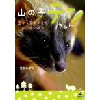 ���a�݂��� �R�̎q�e������� �󂩂痎���Ă��������Ȃ��̂� Book