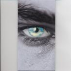 ショッピングmr.children Mr.Children I'LL BE 8cmCD Single