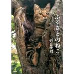 岩合光昭 ふるさとのねこ 写真文庫 Book