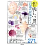 池田等 原寸で楽しむ美しい貝図鑑&採集ガイド 大人のフィールド図鑑 Book