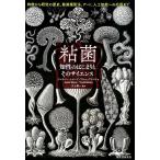 ジャスパー・シャープ 粘菌 知性のはじまりとそのサイエンス 特徴から研究の歴史、動画撮影法、アート、人工知能 Book