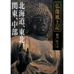 籔内佐斗司 仏像風土記 北海道、東北、関東、中部 ビジュアルだいわ文庫 J 15 Book
