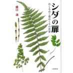 盛口満 シダの扉 めくるめく葉めくりの世界 Book