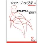 ドストエフスキー カラマーゾフの兄弟3 Book