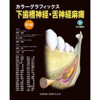 下歯槽神経・舌神経麻痺 カラ-グラフィックス 第２版/医歯薬出版/野間弘康（単行本（ソフトカバー）） 下歯槽神経・舌神経麻痺 カラーグラフィックス 第3版 2巻セット 野間