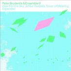 Peter Broderick Give It to the Sky: Arthur Russell's Tower of Meaning Expanded CD