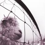 ショッピングjam Pearl Jam Vs. (30th Anniversary Edition)＜完全生産限定盤＞ LP