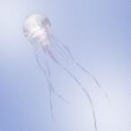 SCANDAL LUMINOUS ［CD+Blu-ray Disc］＜初回限定盤A＞ CD