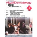 浅野善英 Visual D. 2024年1月号 Vol.23 No.1 Book