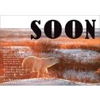 丹葉暁弥 SOON 氷の橋を目指すシロクマ Book