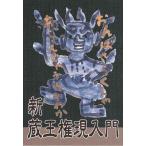 新 蔵王権現入門 Book