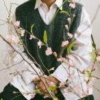 Shigeto Cherry Blossom Baby CD