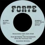 Sharon Revoal Reachi