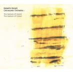 Roberto Bonati Chironimic Orchestra The Gesture Of Sound, The Gesture Of Colour CD