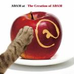 ADAM at The Creation of ADAM CD
