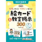 megkmit 特別支援教育 授業に使える! 「できた!」が増える! 絵カード&教室掲示300 Book