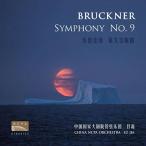 ryuu*ja Brooke na-: симфония no. 9 номер WAV.109< ограниченный выпуск запись > CD