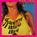 Bon Jovi ワイルド・イン・ザ・ストリーツ<デラックス・エディション><初回生産限定盤> SHM-CD