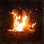 Ben Fuller Walk Through Fire CD