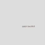  серый *te белка ruThe Grey Album CD