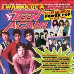 Various Artists I Wanna Be A Teen Again - American Power Pop 1980-1989 (Clamshell Box) CD