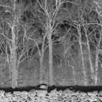 Pile Sunshine and Balance Beams Cassette