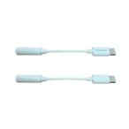 NAGAOKA TYPE-C изменение адаптер NTYPECAD02/ белый Accessories