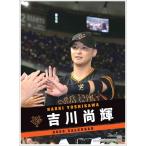 吉川尚輝 吉川尚輝(読売ジャイアンツ) 