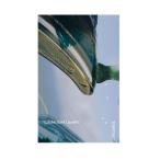 Yusuke Saint Laurent everyday Cassette