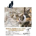 高橋美香 シロくんとパレスチナの猫 Bo