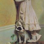 ショッピングSleep Various Artists Going Back To Sleep… LP