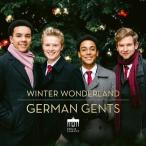  german *jentsuWinter Wonderland (.... снег декорации ) CD