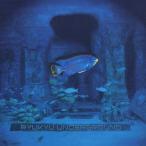 . лампочка нижний ground . лампочка нижний ground CD